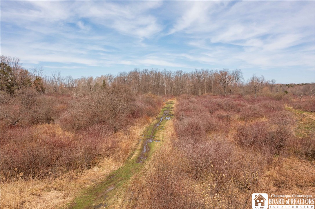 3050 Riverside Road Busti, NY 14701 - Photo 35 of 39