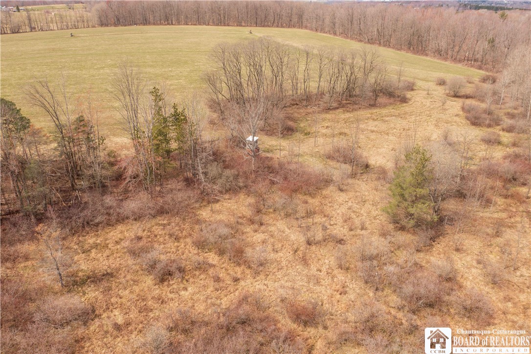 3050 Riverside Road Busti, NY 14701 - Photo 4 of 39