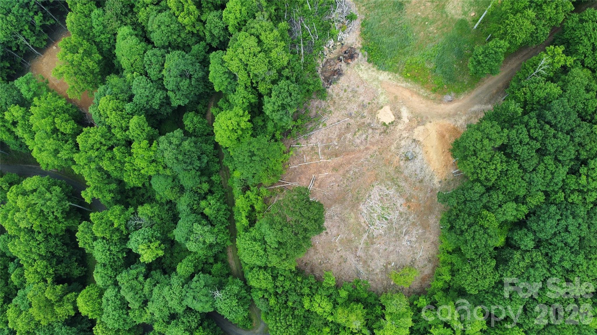 Tbd Nicholas Knoll Road Bakersville, NC 28705 - Photo 24 of 28 Gallery Image 24