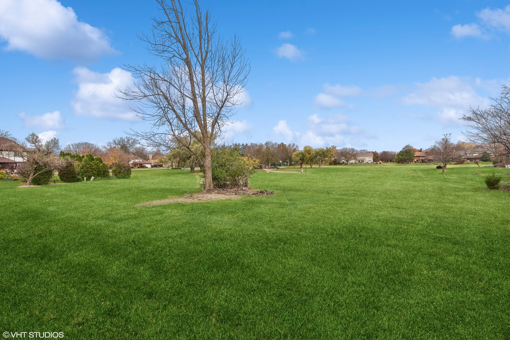 463 Leonard Lane Burr Ridge, IL 60527 - Photo 38 of 47 Gallery Image 38