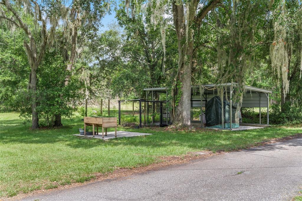 3771 184th Street Wellborn, FL 32094 - Photo 13 of 74