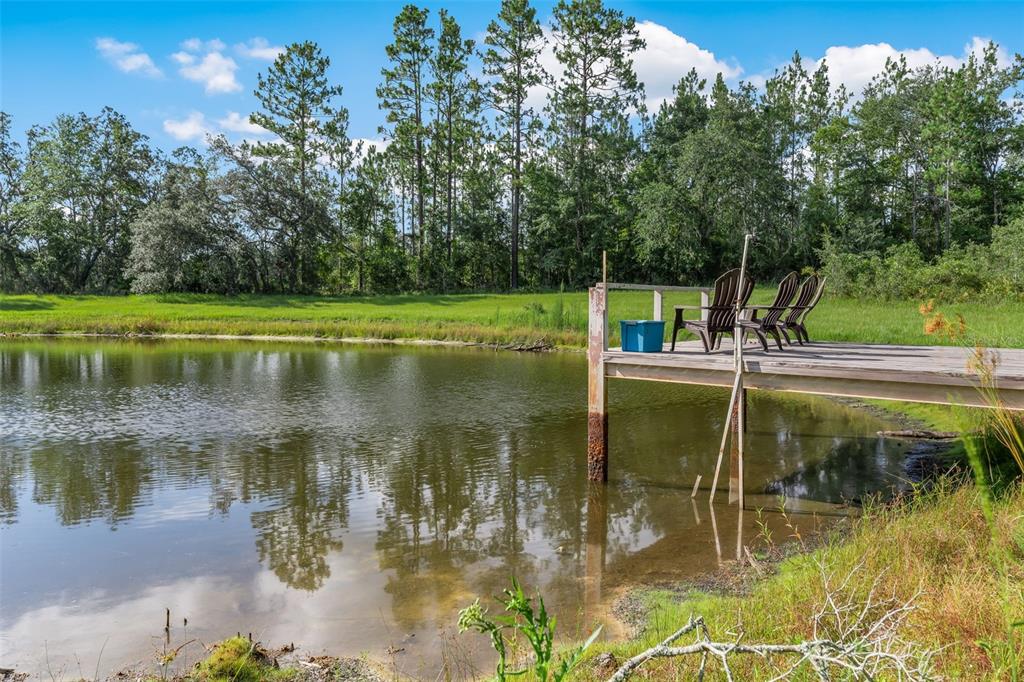 3771 184th Street Wellborn, FL 32094 - Photo 41 of 74 a view of a lake view