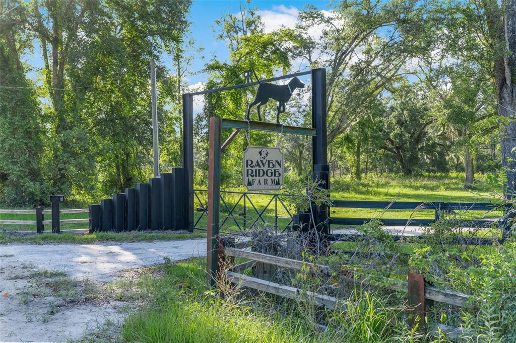 3771 184th Street Wellborn, FL 32094 - Photo 45 of 74