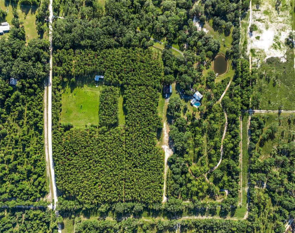 3771 184th Street Wellborn, FL 32094 - Photo 52 of 74