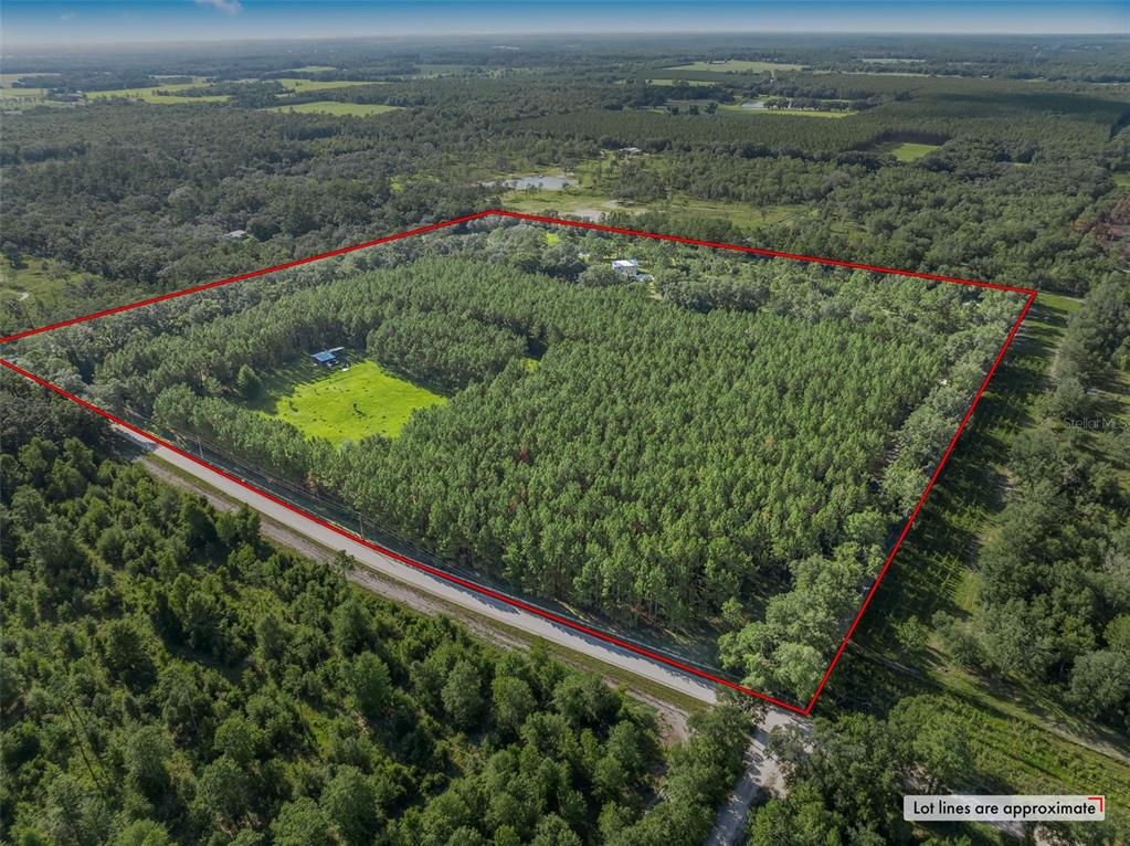 3771 184th Street Wellborn, FL 32094 - Photo 53 of 74