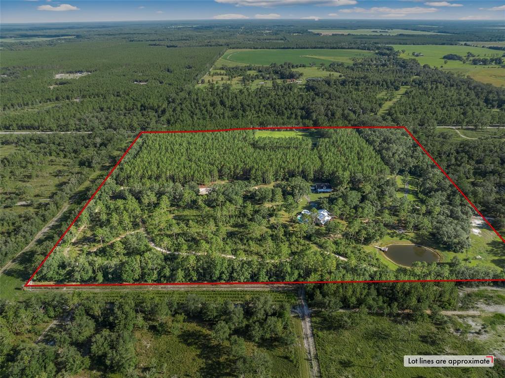 3771 184th Street Wellborn, FL 32094 - Photo 55 of 74 a view of a green field with lots of bushes