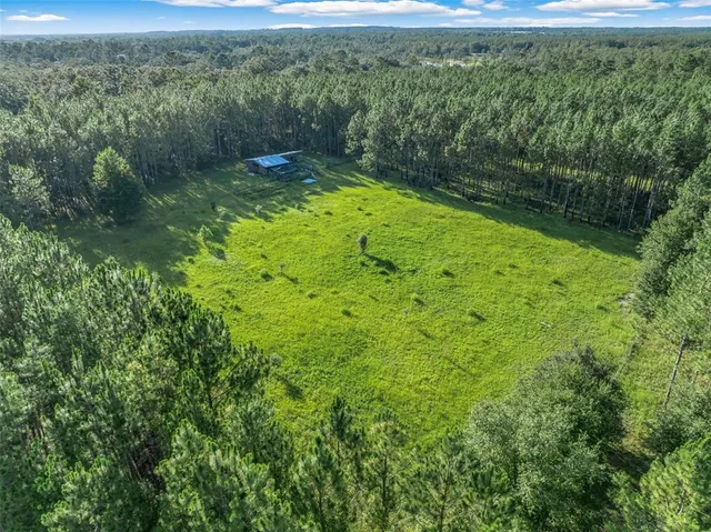 $892,100 | 3771 184th Street, Wellborn, FL 32094