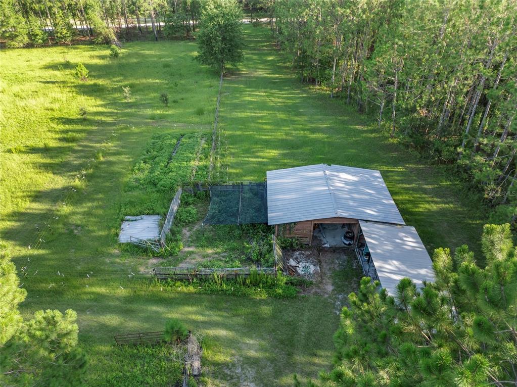 3771 184th Street Wellborn, FL 32094 - Photo 61 of 74 a view of a garden with an outdoor space