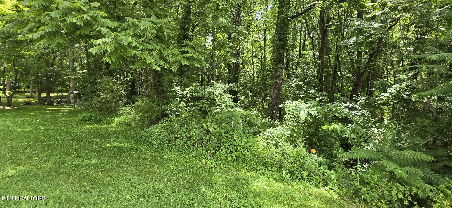 Shady Lane Oneida, TN 37841 - Photo 4 of 8 20260612_134705