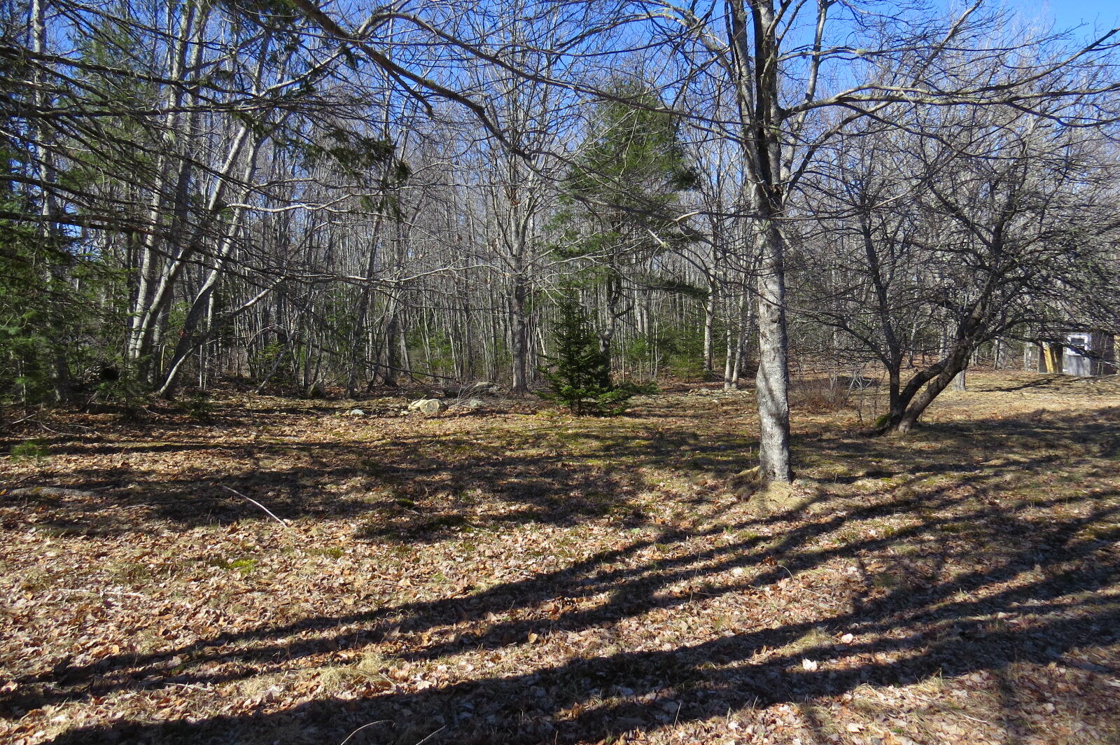 137 Seal Point Road Lamoine, ME 04605 - Photo 29 of 47 IMG_8780