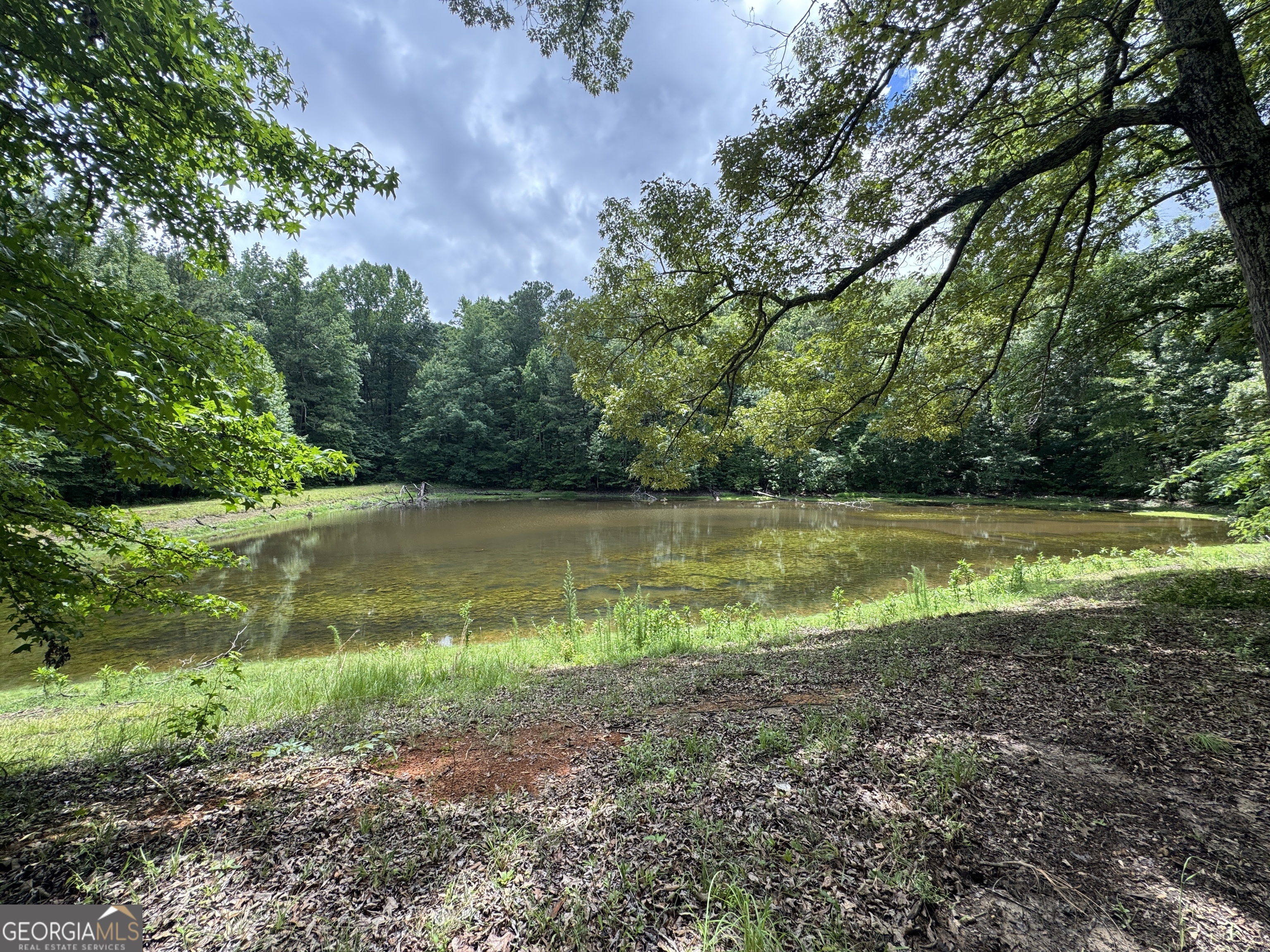 3413 Dames Ferry Road Forsyth, GA 31029 - Photo 2 of 23
