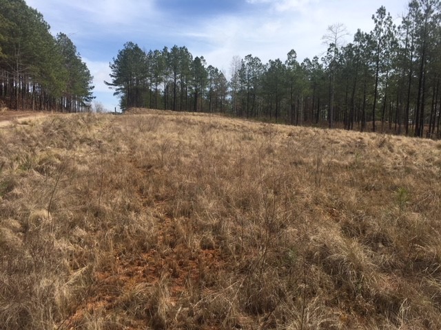 400 McAlister Road West Union, SC 29696 - Photo 12 of 25 The lot has been cleared for the perfect build sit