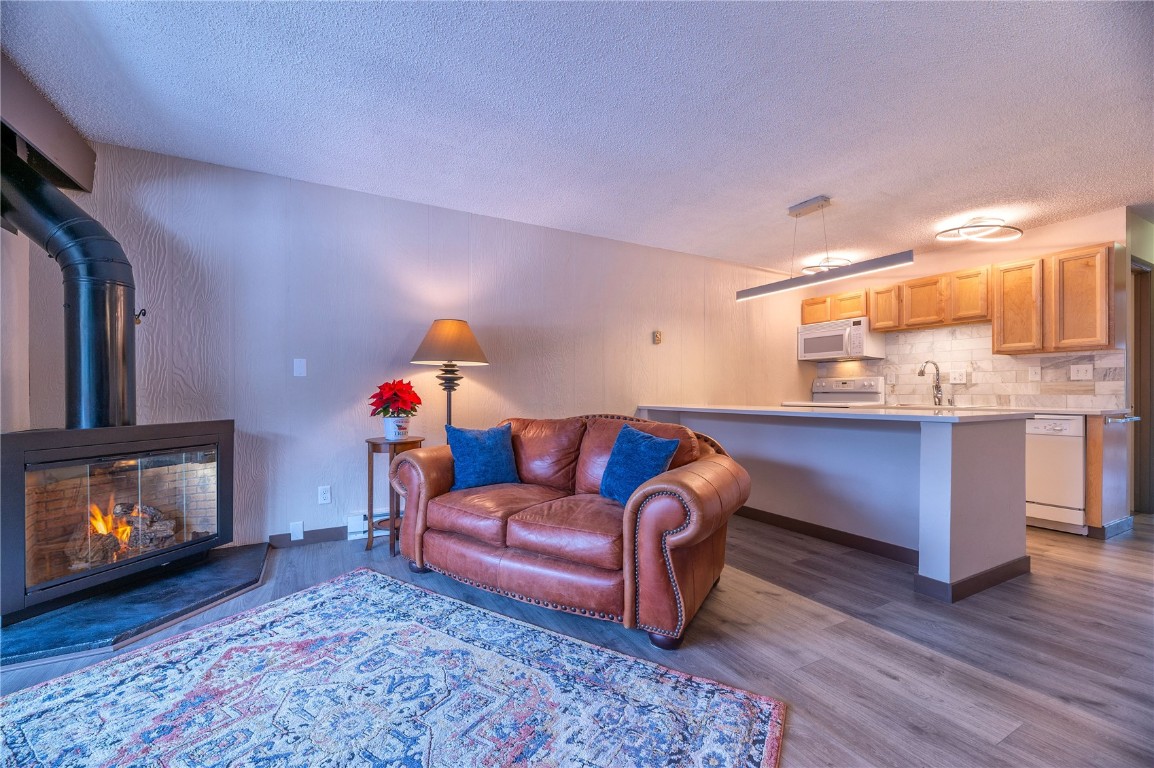 1513 East Keystone Road, Unit 2969 Keystone, CO 80435 - Photo 3 of 31 Gallery Image 3