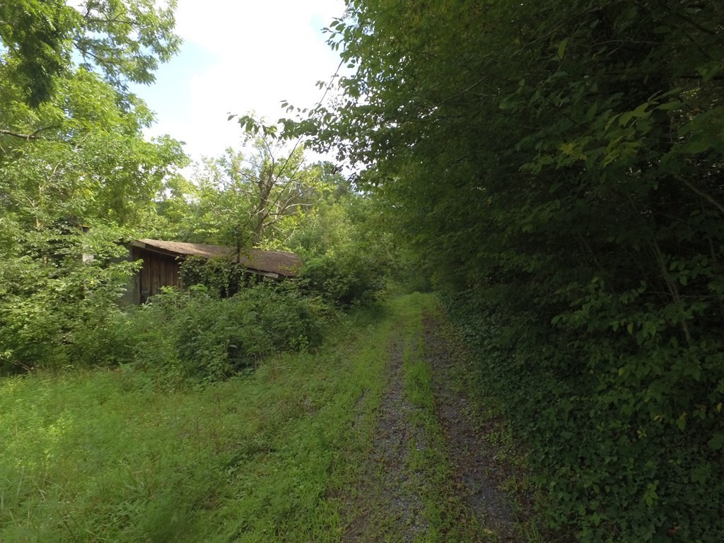 1549 Douglas Dam Road Sevierville, TN 37876 - Photo 23 of 30