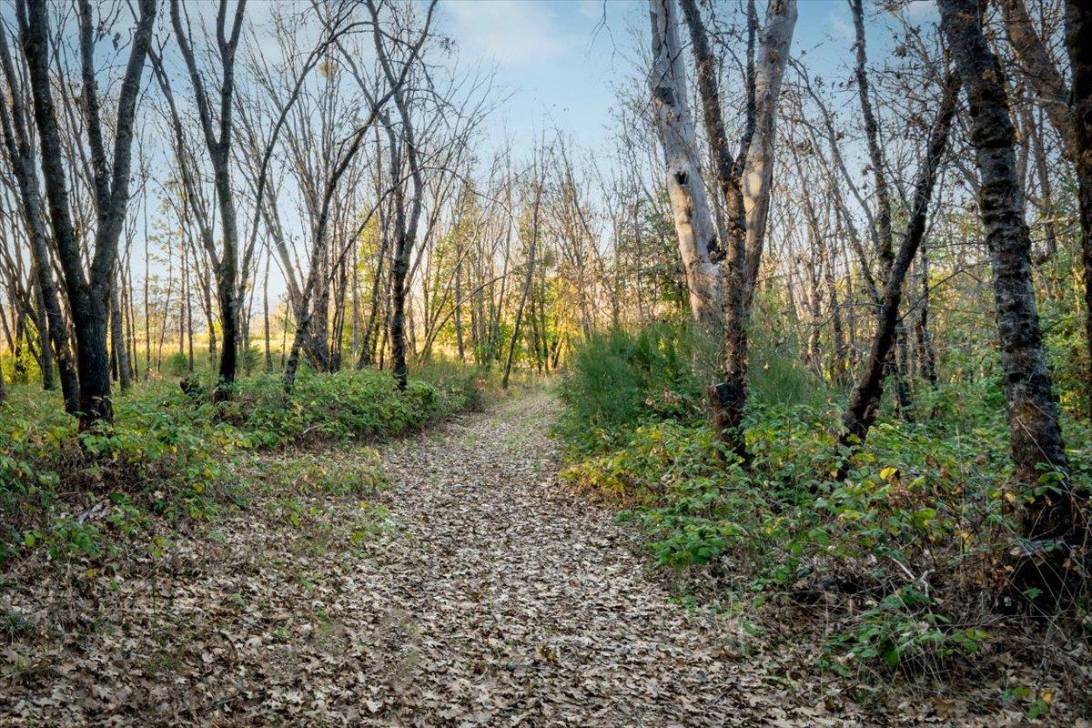 18085 Oak Tree Road Nevada City, CA 95959 - Photo 70 of 99