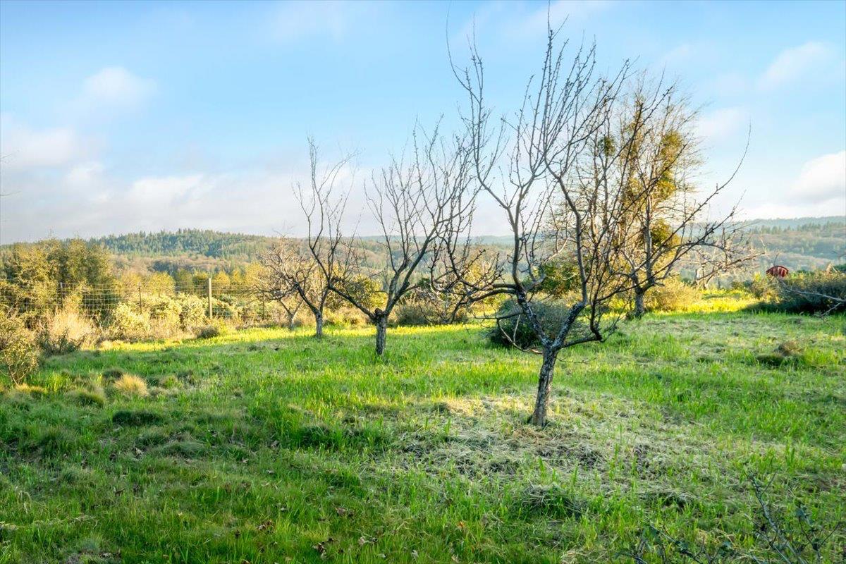 18085 Oak Tree Road Nevada City, CA 95959 - Photo 79 of 99