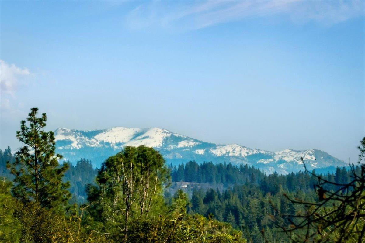 18085 Oak Tree Road Nevada City, CA 95959 - Photo 81 of 99