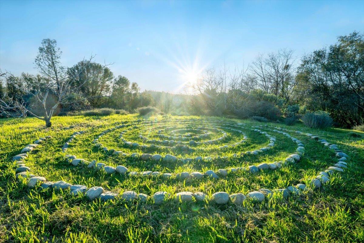 18085 Oak Tree Road Nevada City, CA 95959 - Photo 84 of 99