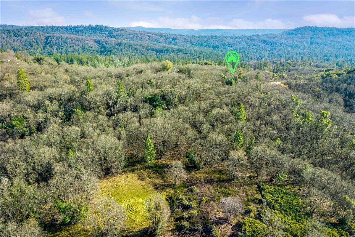 18085 Oak Tree Road Nevada City, CA 95959 - Photo 90 of 99