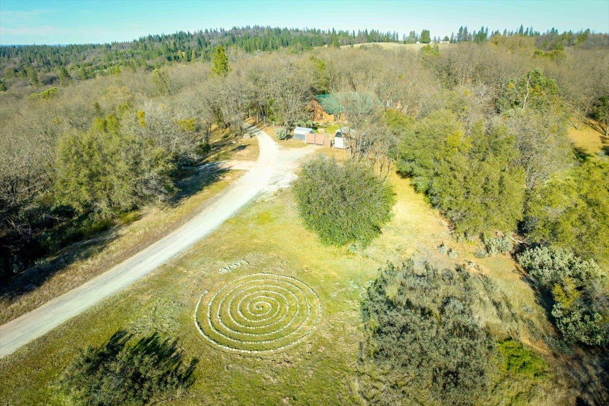 18085 Oak Tree Road Nevada City, CA 95959 - Photo 93 of 99
