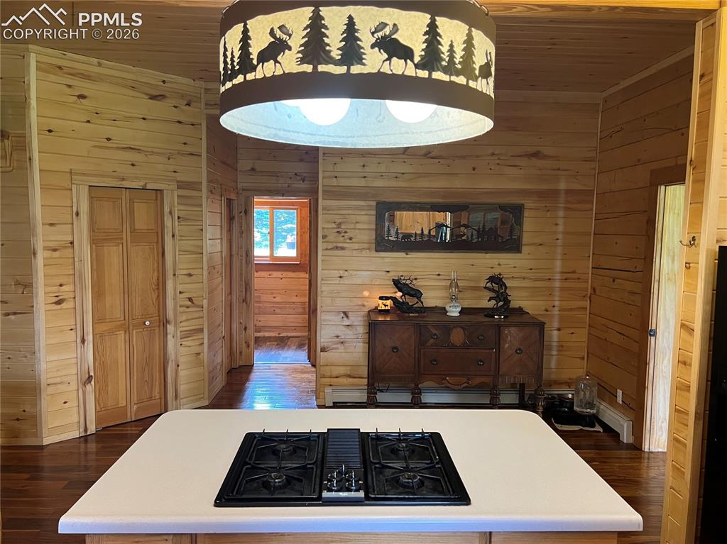 87 Thompson Road Gardner, CO 81040 - Photo 18 of 46 a view of a hallway with wooden floor and a fireplace