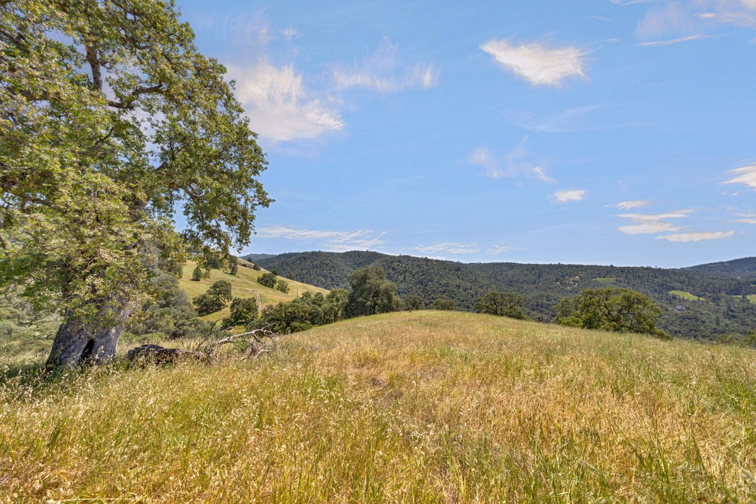 0 Bayne Road Garden Valley, CA 95633 - Photo 44 of 67 Gallery Image 44