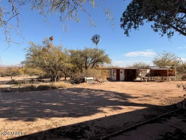 a view of a yard with trees