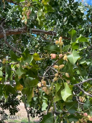 $199,999 | 1144 West Edwards Lane, Benson, AZ 85602