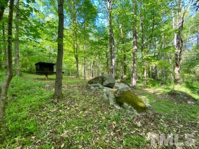 Byrd Road Burlington, NC 27217 - Photo 13 of 19 Gallery Image 13