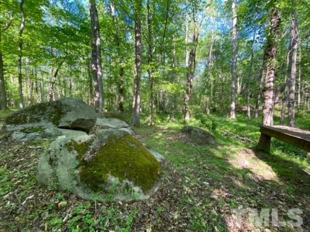 Byrd Road Burlington, NC 27217 - Photo 14 of 19 Gallery Image 14