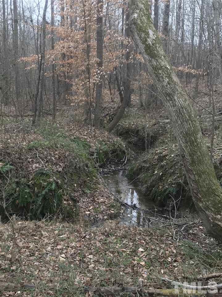 Byrd Road Burlington, NC 27217 - Photo 18 of 19 One of 2 creeks