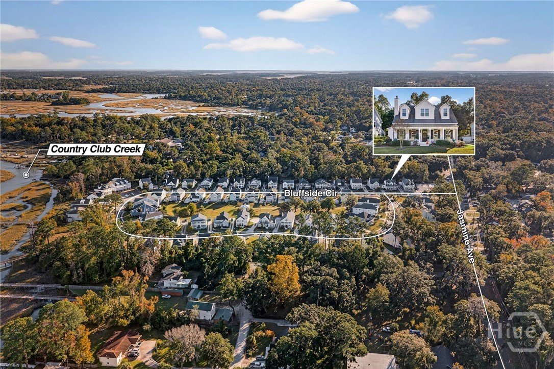 103 Bluffside Circle Savannah, GA 31404 - Photo 67 of 68 Aerial view of neighborhood and location