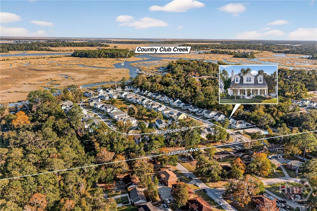 103 Bluffside Circle Savannah, GA 31404 - Photo 69 of 69 Aerial view