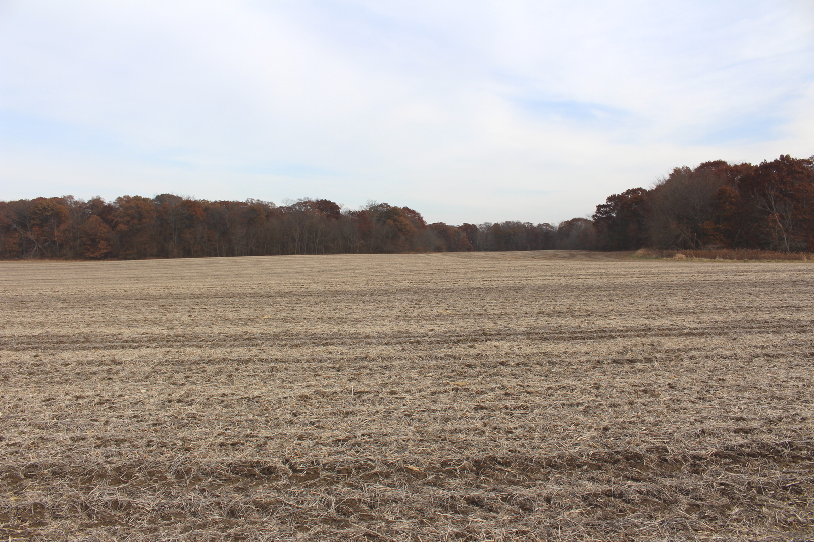 5550 Park Road Clinton, IL 61727 - Photo 2 of 3