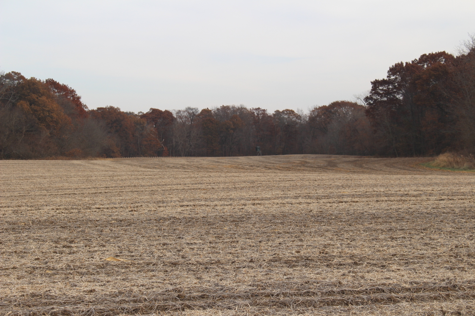 5550 Park Road Clinton, IL 61727 - Photo 3 of 3