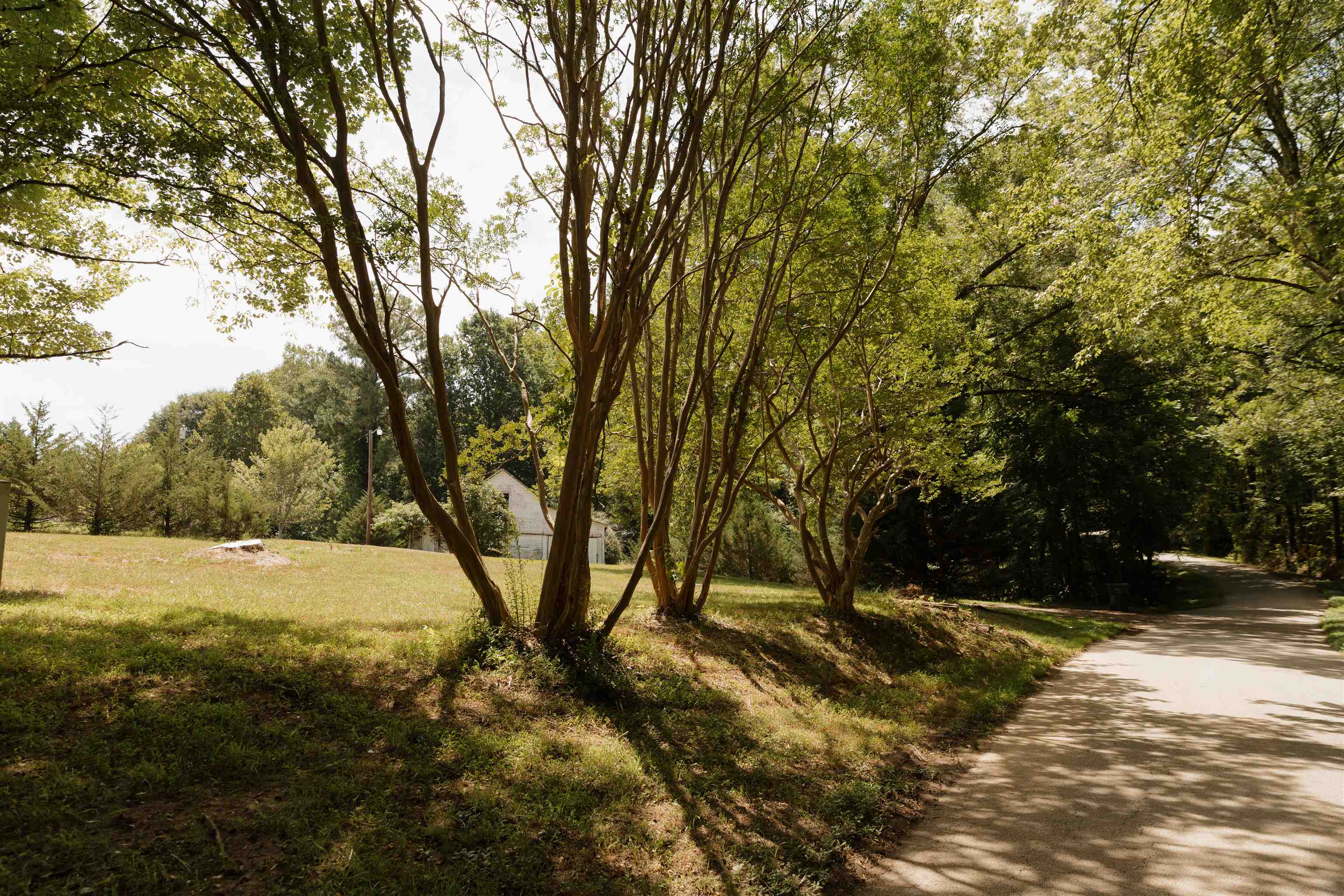 296 Nodine Road Campobello, SC 29322 - Photo 2 of 50