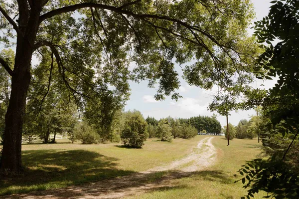 $955,000 | 296 Nodine Road, Campobello, SC 29322