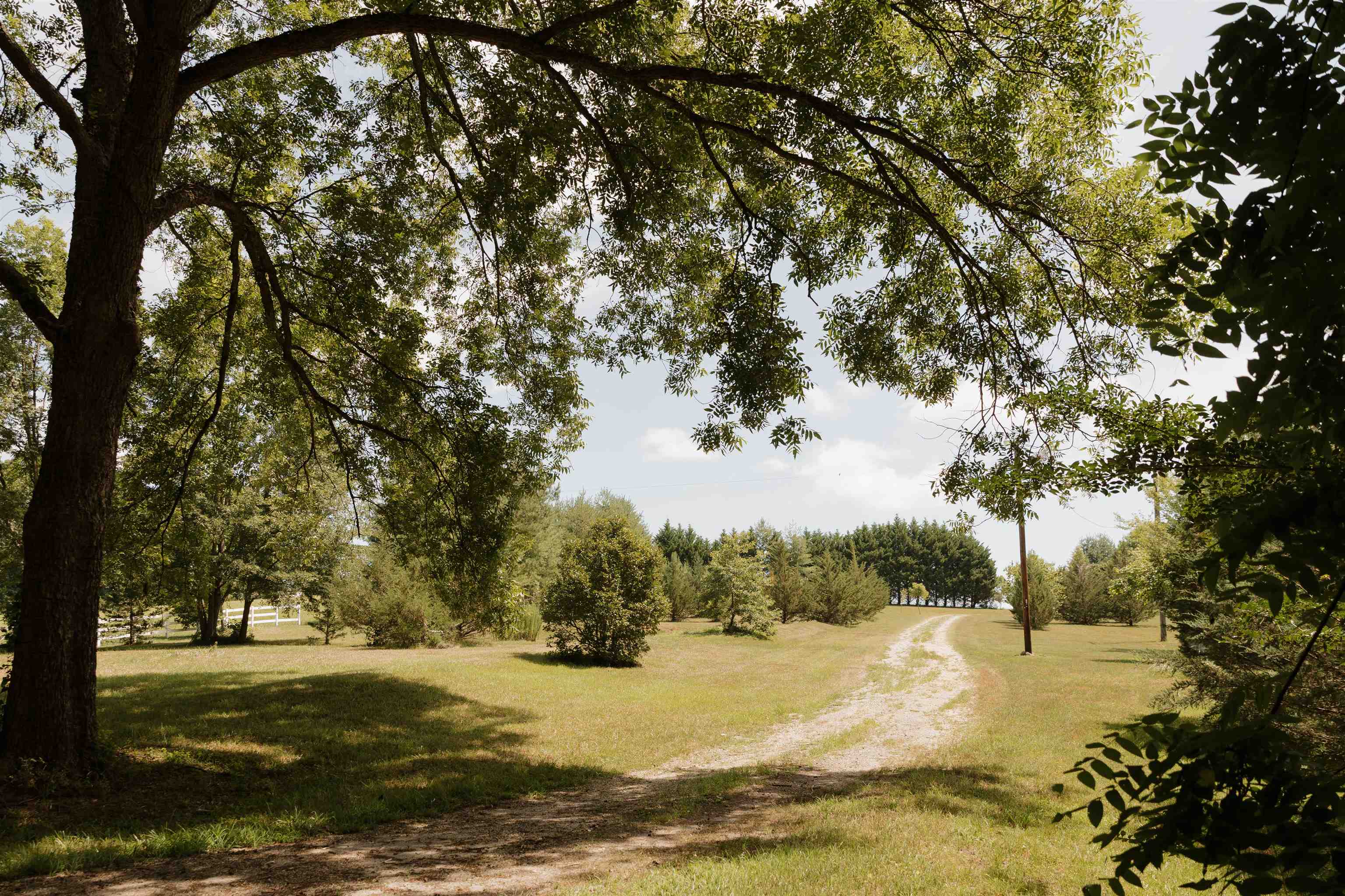 296 Nodine Road Campobello, SC 29322 - Photo 3 of 50