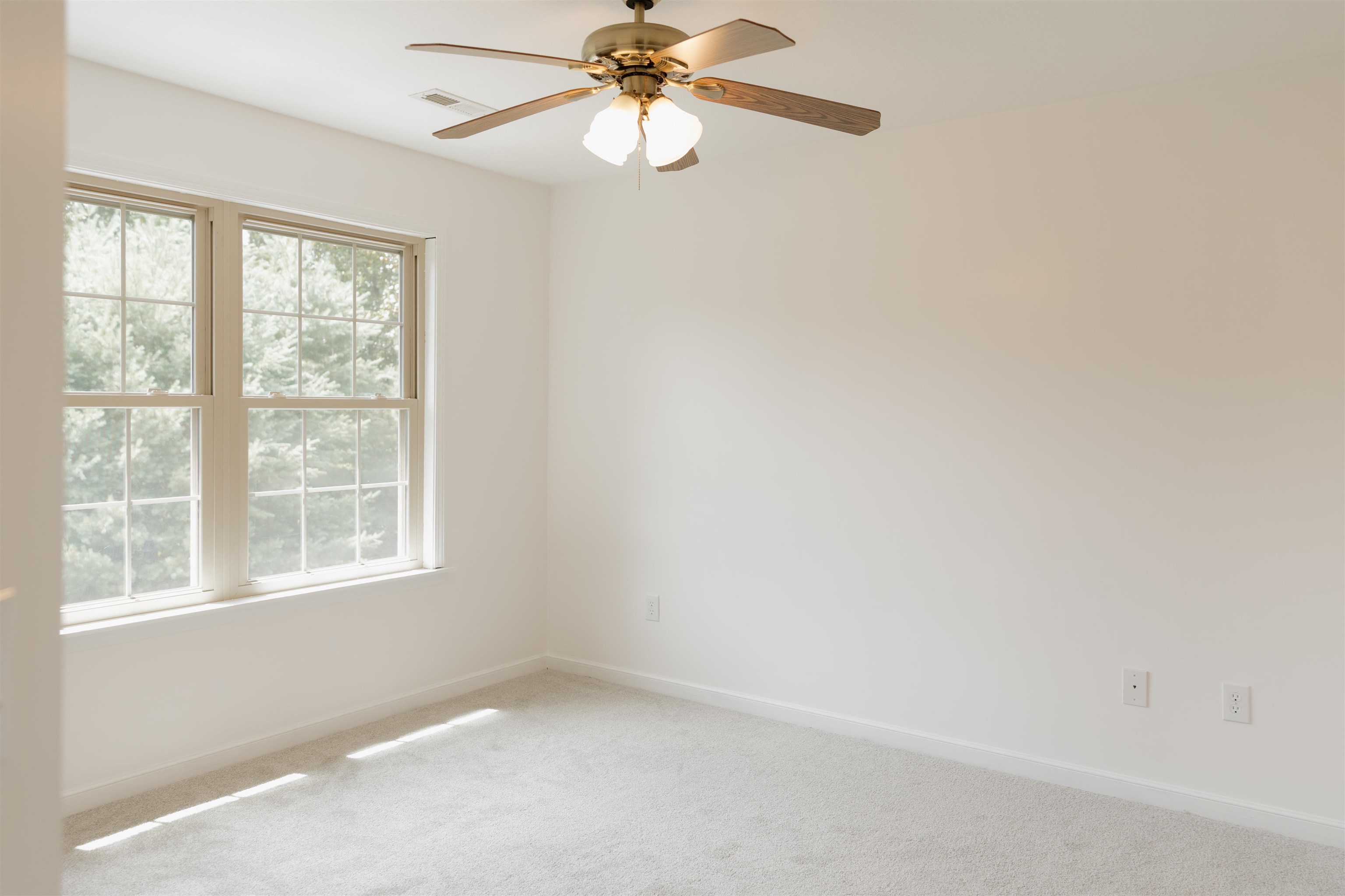 296 Nodine Road Campobello, SC 29322 - Photo 33 of 50