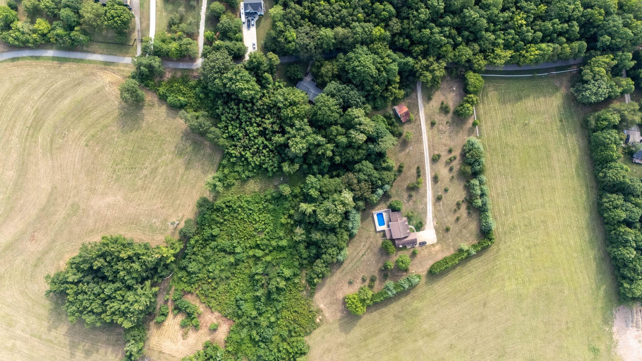 296 Nodine Road Campobello, SC 29322 - Photo 45 of 50