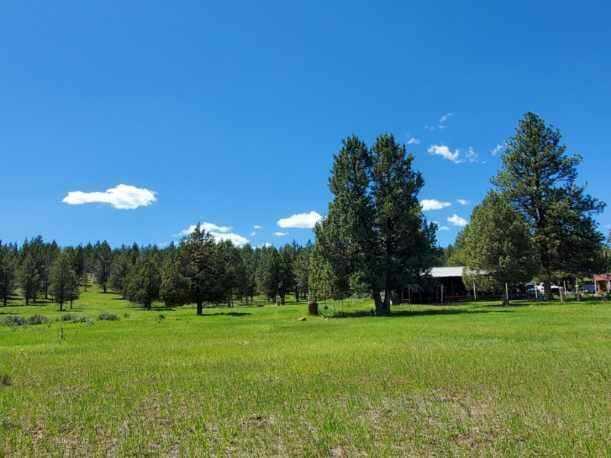 17703 Fishhole Creek Road Bly, OR 97622 - Photo 14 of 34 IMG-20260330-WA0025