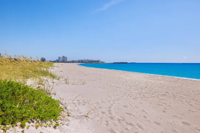 a front view of a house with a yard and potted plants