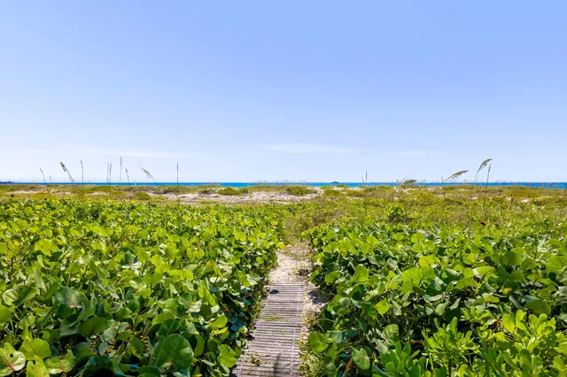 front view of a house with a garden