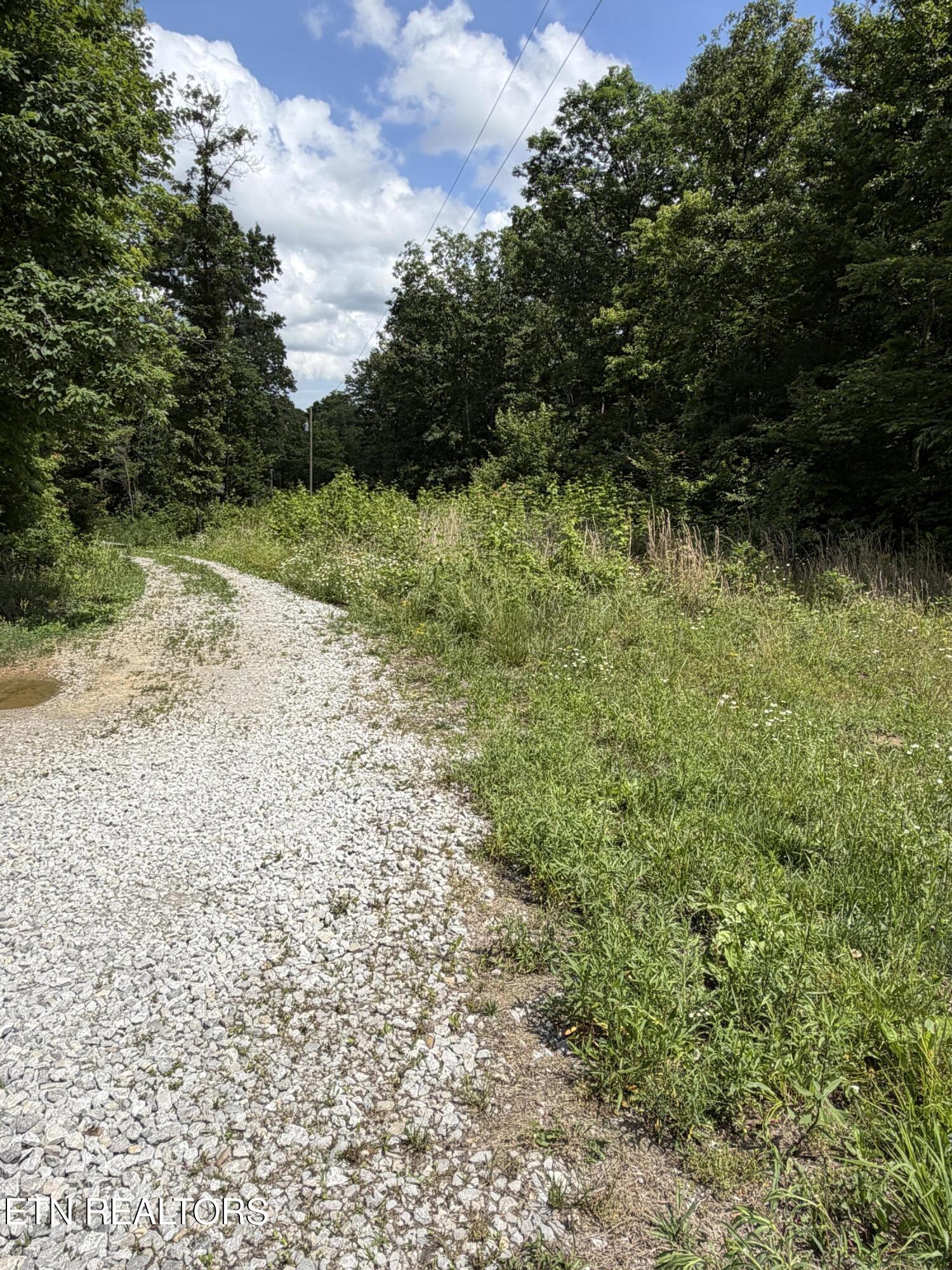 768 Remington Road Jamestown, TN 38556 - Photo 2 of 6 IMG_0480