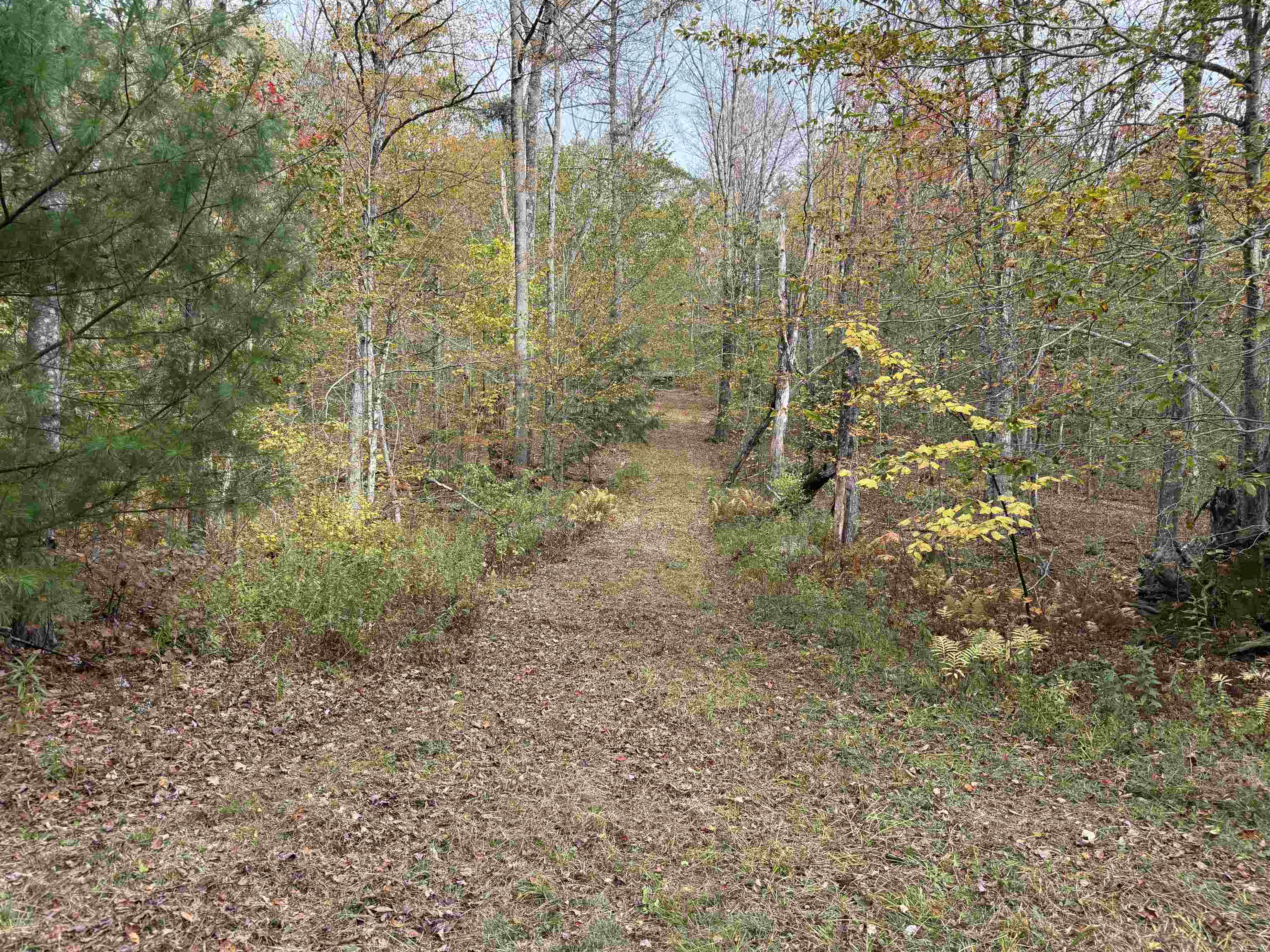 1499 Josh Road Halifax, VT 05301 - Photo 13 of 20