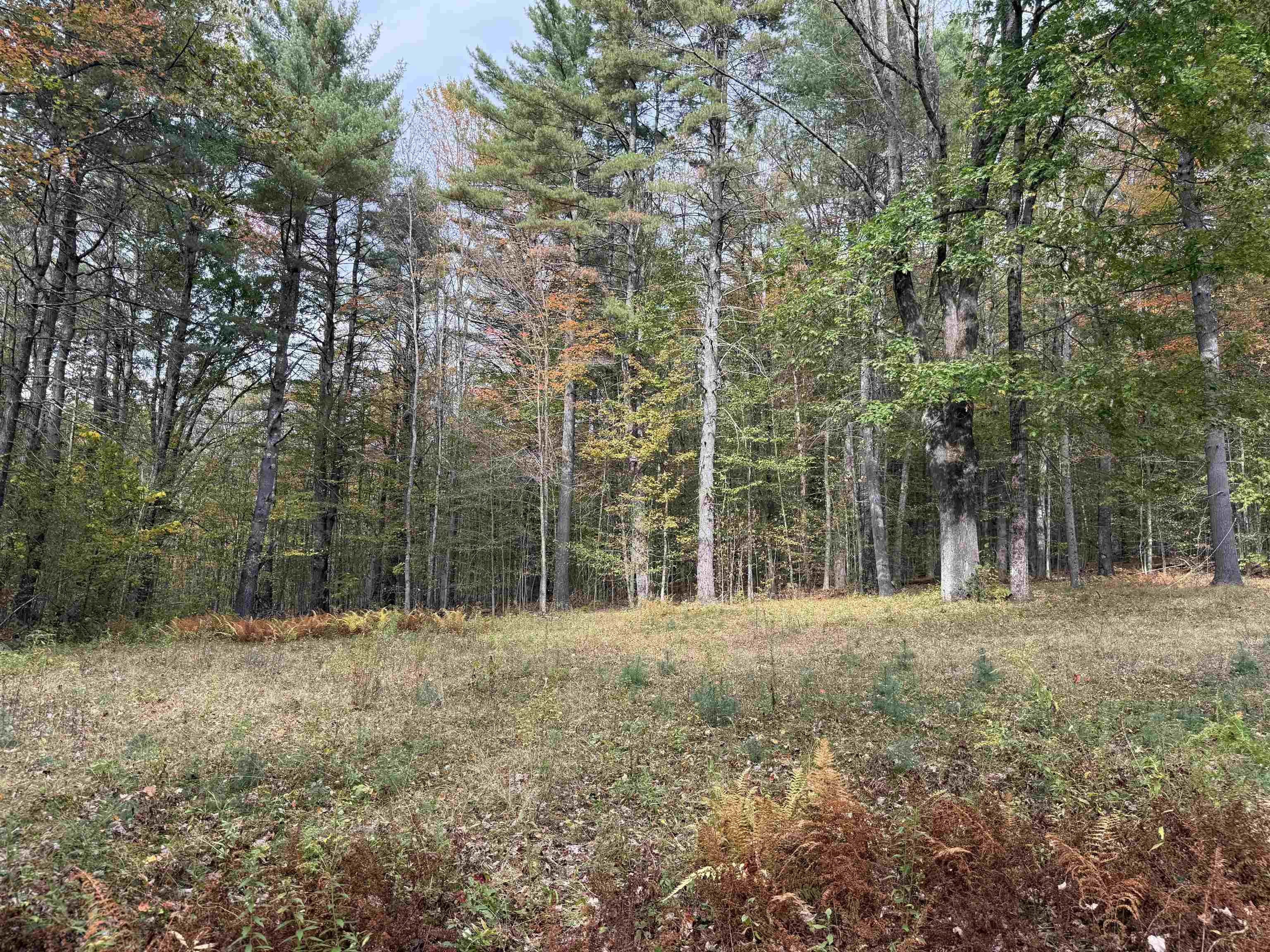 1499 Josh Road Halifax, VT 05301 - Photo 14 of 20