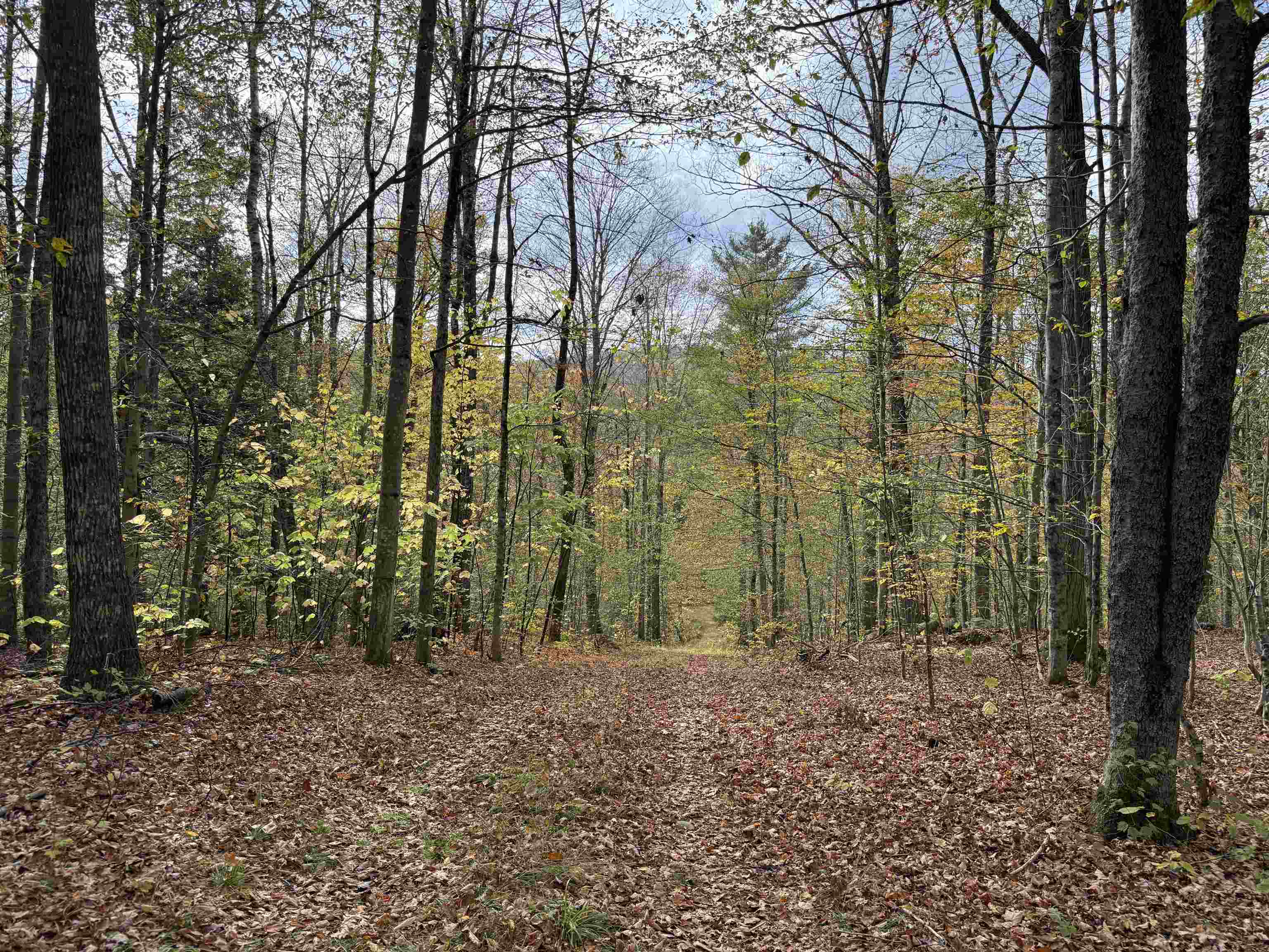 1499 Josh Road Halifax, VT 05301 - Photo 15 of 20