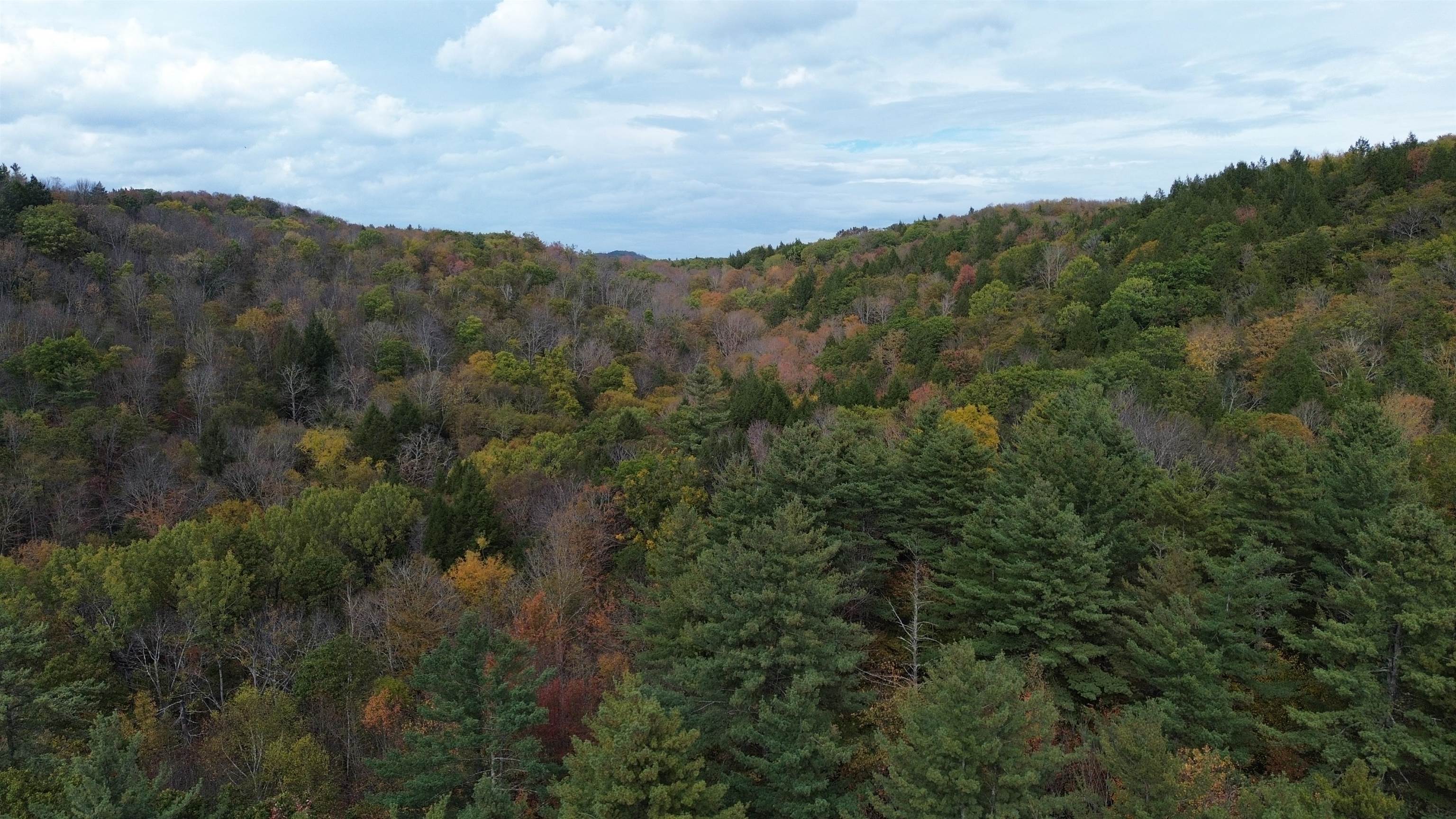 1499 Josh Road Halifax, VT 05301 - Photo 16 of 20