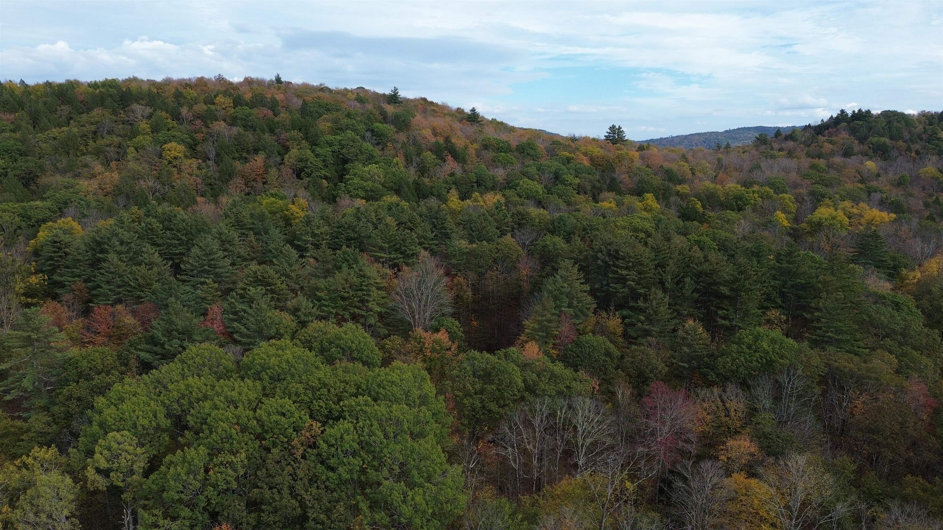 1499 Josh Road Halifax, VT 05301 - Photo 17 of 20