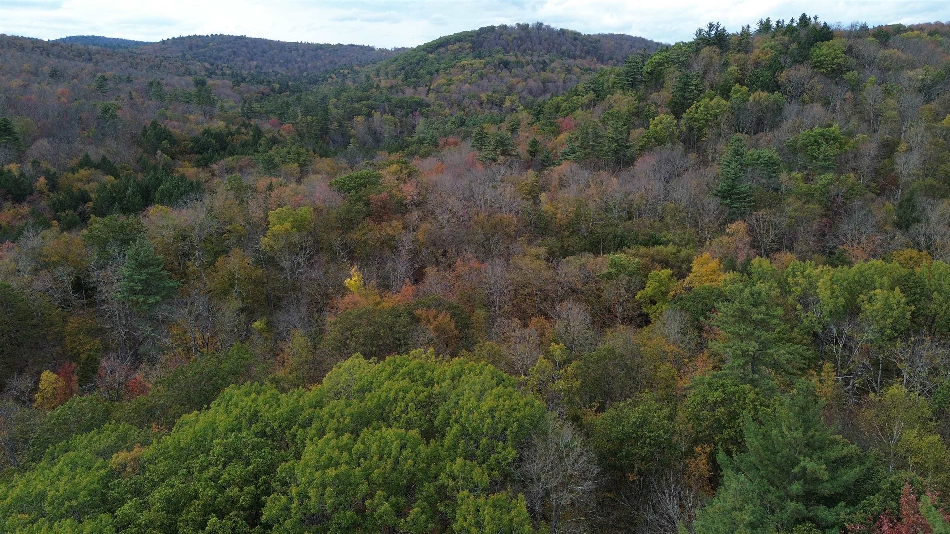 1499 Josh Road Halifax, VT 05301 - Photo 18 of 20